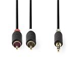 Nedis CABW22200AT100 - Stereofonní Audio Kabel | 3,5mm Zástrčka - 2x RCA Zástrčka | 10 m | Antracit