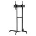 Neomounts FL50-540BL1 / Mobile Floor Stand (height adjustable: 128,5-145 cm) / Black