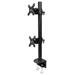 Neomounts FPMA-D960DVBLACKPLUS / Flat Screen Desk Mount (clamp), high capacity / Black