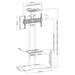 Neomounts PLASMA-M1700ES / Mobile Flat Screen Floor Stand (height: 147-163 cm) box 1/2 / Black