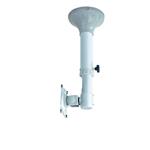 NewStar Flatscreen Ceiling Mount (Height: 37-47 cm) FPMA-C025SILVER