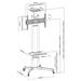 NewStar Mobile Flatscreen Floor Stand - (height: 155-170 cm) PLASMA-M1700E