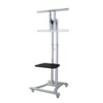 NewStar Mobile Flatscreen Floor Stand - (height: 80-180 cm) PLASMA-M1800E