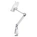 NewStar Tablet & Smartphone Arm (universel for all tablets & smartphones) TABLET-D100SILVER