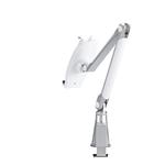 NewStar Tablet & Smartphone Arm (universel for all tablets & smartphones) TABLET-D100SILVER