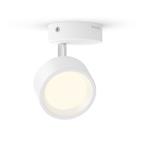 Philips BRACIA Bodove svietidlo 8720169174740 LED 5,5W bí