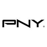 PNY TECHNO, DisplayPort to HDMI cable QSP-DPHDMIV2