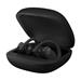 Powerbeats Pro Wireless Earphones - Black MY582EE/A