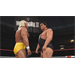 PS5 - WWE 2K24 5026555437165