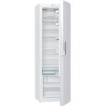 R 619 FEW5 chladnička monokl. GORENJE 3838782637872