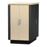 Rack APC NetShelter CX 24U NetShelter CX 24U Secure Soundproofed Server Room in a Box Enclosure AR4024IA