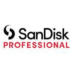 SanDisk Professional PRO-BLADE - Kryt úložiště - NVMe - USB-C - černá SDPM34F-0000-GBABD