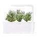 Smart Garden Levandula PCW-015