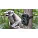 Technaxx fotopast Wild Cam - bezpečnostní kamera pro vnitřní i vnější použití, kamufláž (TX-69) 4260101737663