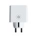 Tesla Smart Plug SP300 TSL-SPL-SP300