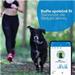 Tractive GPS DOG 4 LTE – sledování polohy a aktivity pro psy - hnědá TRNJA4