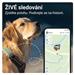 Tractive GPS DOG XL – sledování polohy a aktivity pro psy - zelený TRDOG4XLGR