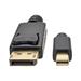 Tripplite Video kabel Mini DisplayPort / DisplayPort (Samec/Samec), 4K 60Hz, černá, 1.8m P583-006-BK