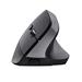 TRUST BAYO+ ERGONOMIC WIRELESS MOUSE BLK 25146