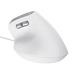 TRUST BAYO II ERGONOMIC MOUSE WHT 25397