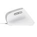 TRUST BAYO II ERGONOMIC MOUSE WHT 25397