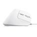 TRUST BAYO II ERGONOMIC MOUSE WHT 25397