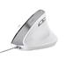 TRUST BAYO II ERGONOMIC MOUSE WHT 25397