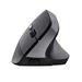 TRUST BAYO II ERGONOMIC WIRELESS MOUSE BLK 25145