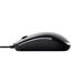 TRUST TM-101 MOUSE ECO BLK 25295