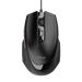 TRUST VOCA COMFORTABLE MOUSE 23650