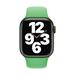 Watch Acc/41/Bright Green SB-Reg MN2C3ZM/A