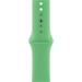 Watch Acc/41/Bright Green SB-Reg MN2C3ZM/A