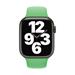 Watch Acc/45/Bright Green SB-Reg MN2F3ZM/A