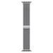 Watch Acc/45/Silver Milanese Loop ML783ZM/A