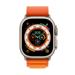 Watch Acc/49/Orange Alpine Loop - Small MQDY3ZM/A