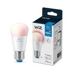 WiZ LED E27 AP45 LED Ziarovka 8719514554672 RGB