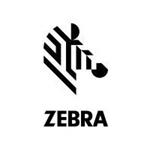 Zebra 8000D Linerless, label roll, thermal paper, 101.6mm LD-R4LF5P